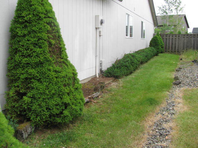 Building Photo - Spacious 3BR Ranch in Desirable La Center Area
