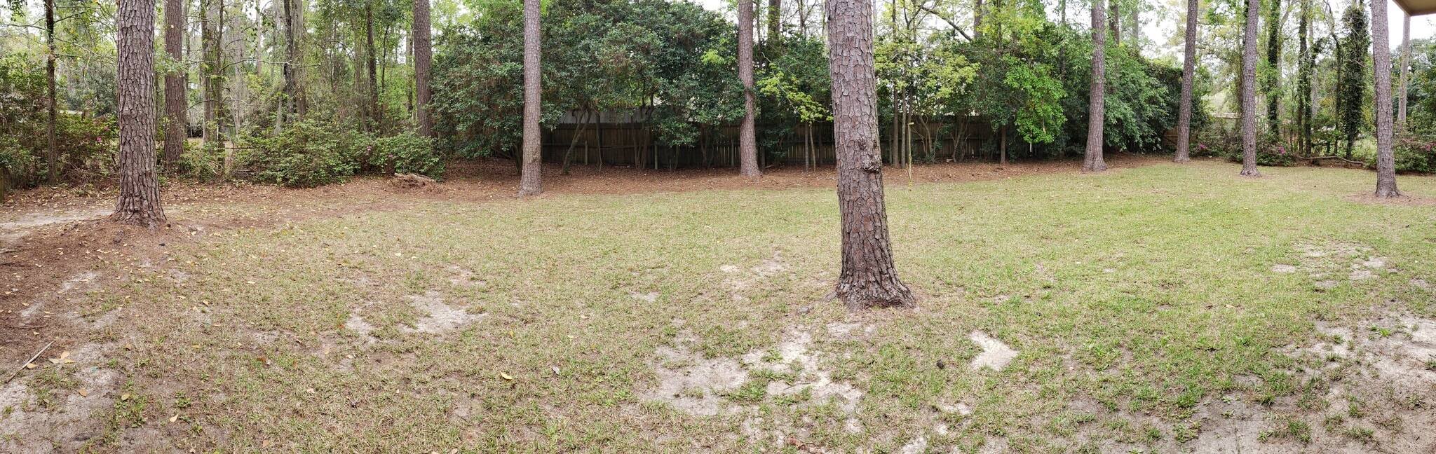 Backyard - 2412 Jerry Jones Drive