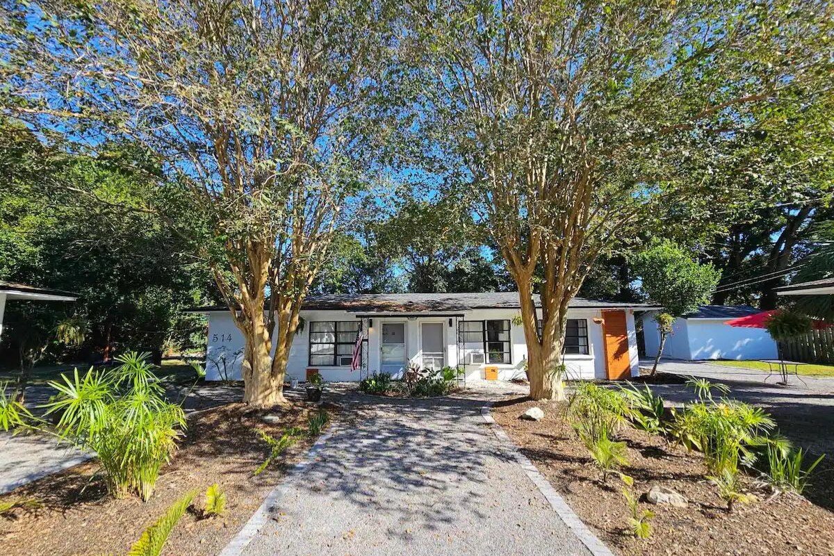 514 A and B trees - 512 Paulding Ave