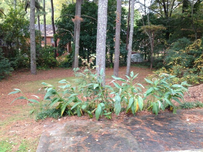 Building Photo - 4267 Chamblee Tucker Rd