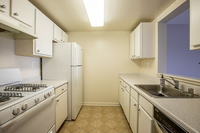 Building Photo - Charming 2 BR/2 BA Condo in Barry Farms!