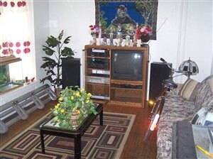 Livingroom Photo - 102 Clifford Ave