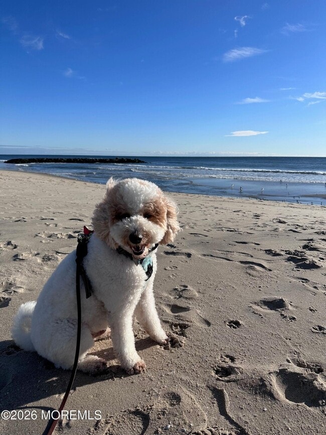 Building Photo - 214 Brinley Ave