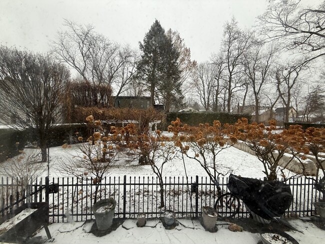 Building Photo - 164 Fair St