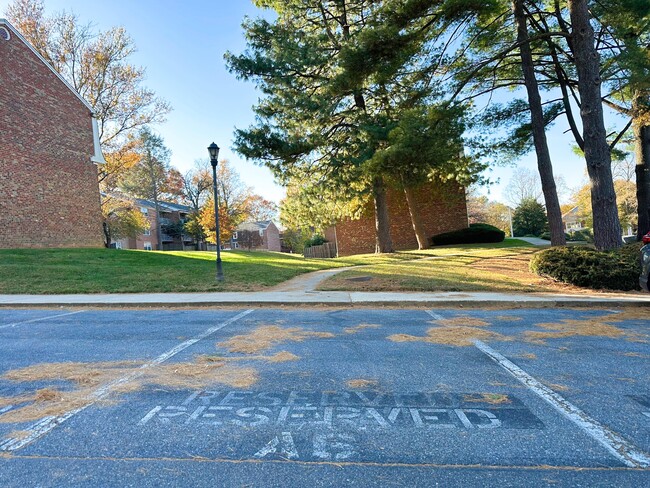 Assigned parking spot - 702 Quince Orchard Blvd