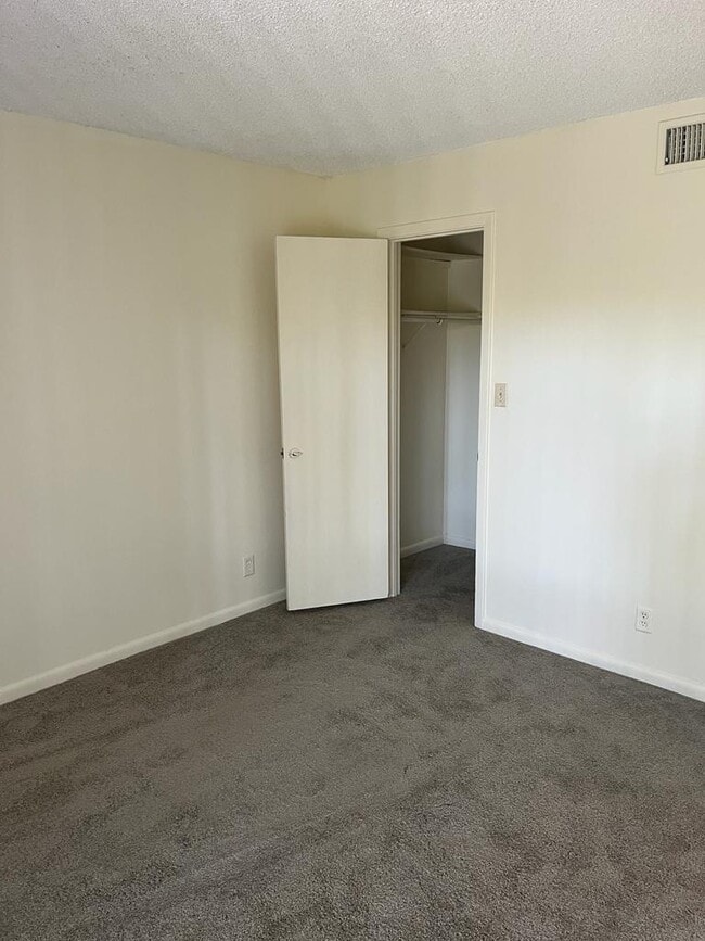 Building Photo - 2420 Lemon Tree Ln
