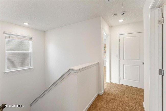 Building Photo - 1013 Curly Top Ln