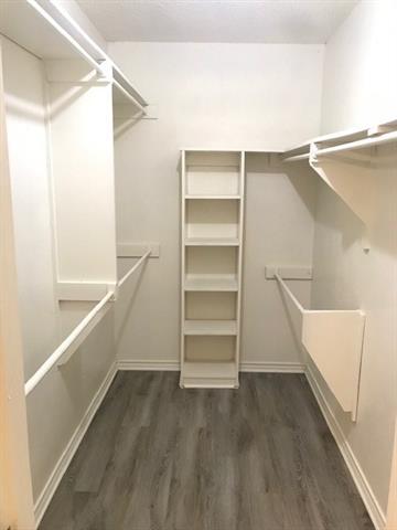 Building Photo - 2317 Saharah Dr