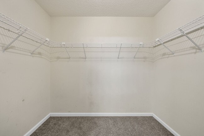 Building Photo - 3793 McAllister Dr