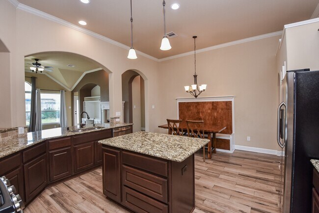 Building Photo - 10523 Texas Sage Way