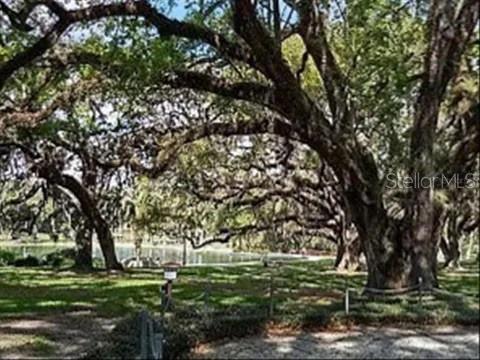 Building Photo - 119 Tomoka Trail