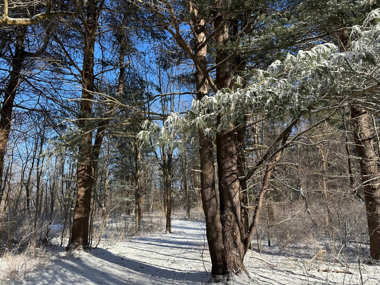 Building Photo - 162 Washington St
