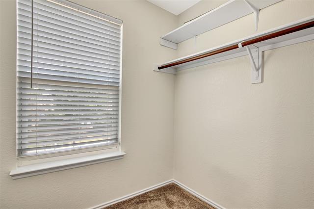 Building Photo - 7009 Wind Row Dr