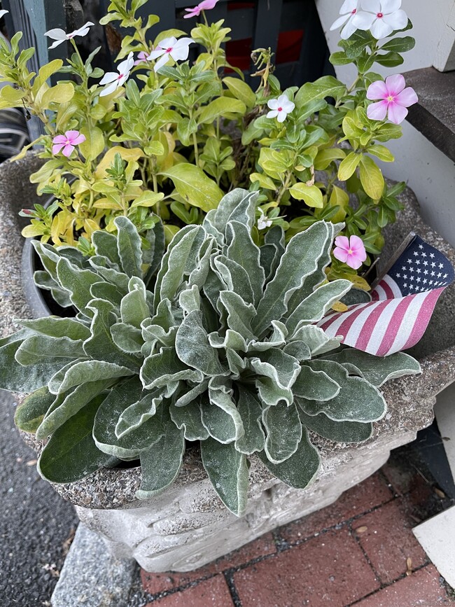 Building Photo - 126 East Ave