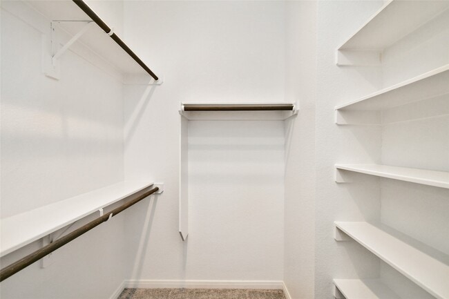 Building Photo - 623 Silver Pear Ct