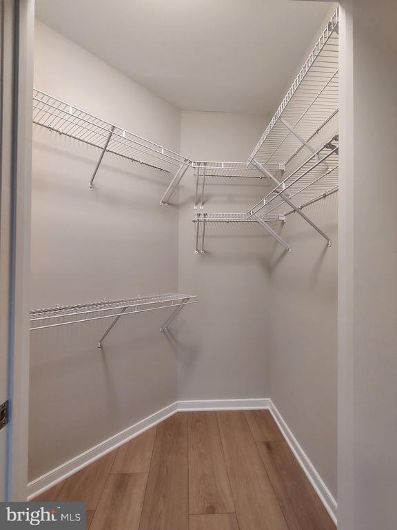 Building Photo - 1641 International Dr