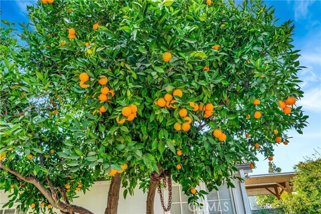 Building Photo - 14143 Hatteras St