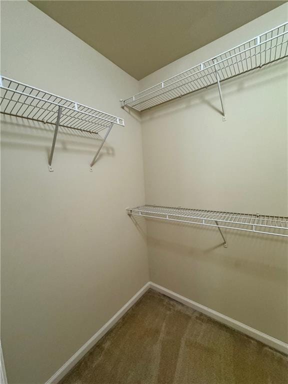 Building Photo - 6215 Elmshorn Way