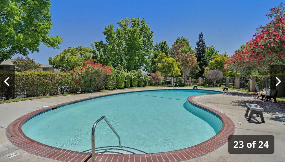 Swimming pool - 2305 Saidel Dr