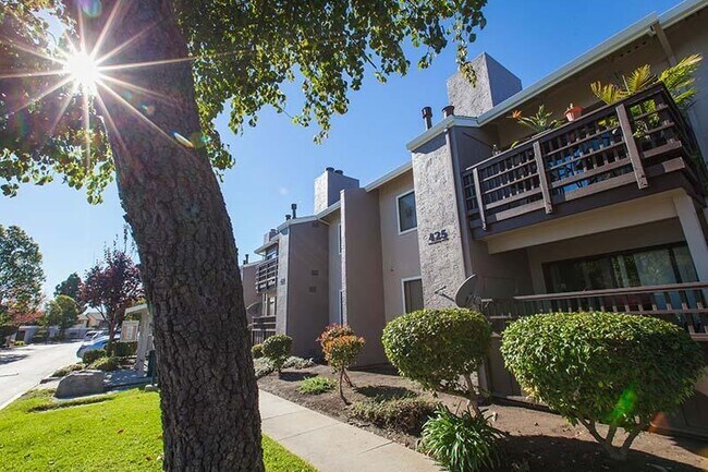Laurel Grove Salinas, CA Apartment Finder