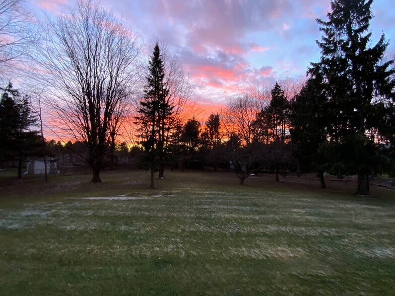 Rear Yard - 5 Graffin Dr