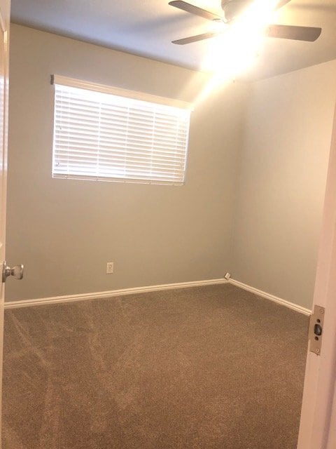 Building Photo - 2904 Bloomington Hills Dr