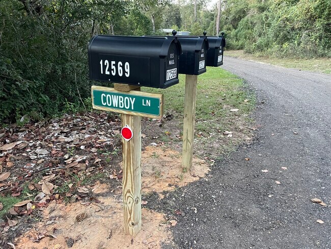 Building Photo - 12569 Cowboy Ln