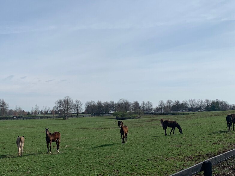 Building Photo - 2900 Newtown Pike