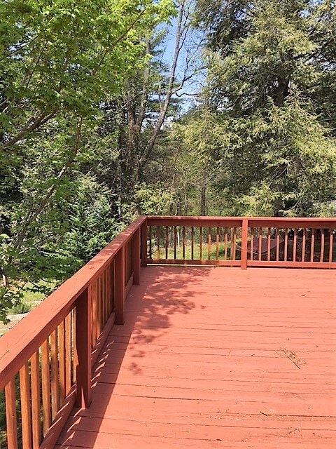 Building Photo - North AVL - Spacious Home with Large Yard and Outdoor Fireplace!