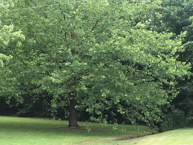 Building Photo - 175 Schools Dr