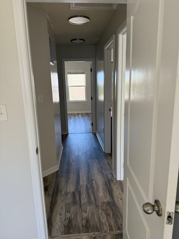 Building Photo - 204 Treeline Ln