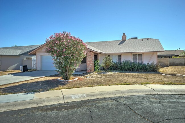 Primary Photo - AVAILABLE NOW - REMODELED IN TEMPE!!!