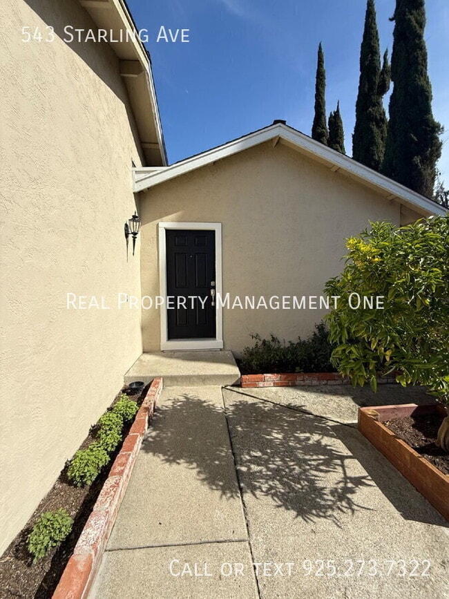 Building Photo - 543 Starling Ave