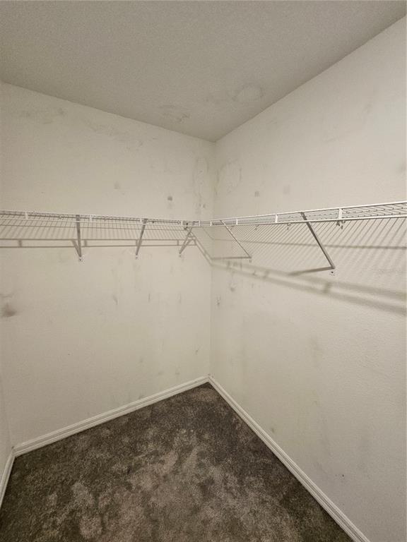 Building Photo - 7511 Samuel Ivy Dr