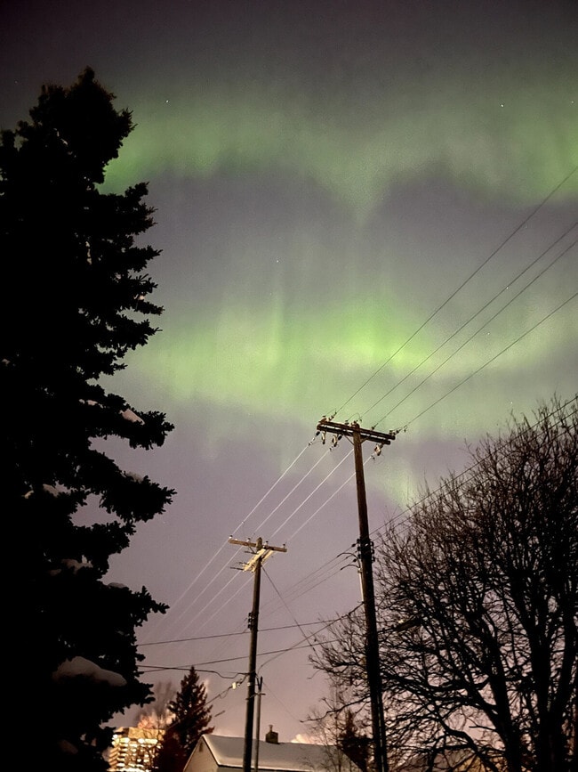 Building Photo - 237 W 13th Ave