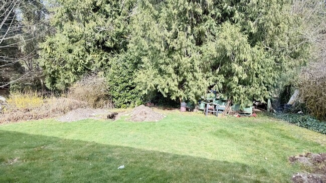 Building Photo - 4 Bedroom home + Yard - Issaquah Schools