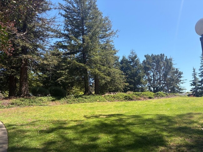 Building Photo - Capitola Knolls, Remodeled 3bd. 1.5ba two-level townhome