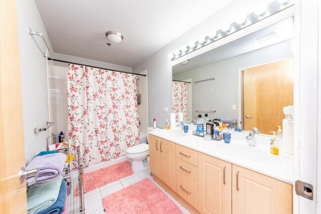 Building Photo - 2 bedroom in Chicago IL 60616