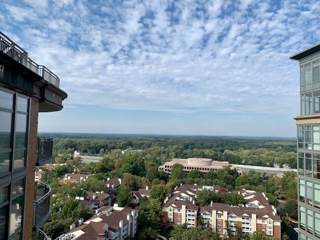 Building Photo - Beautiful 1 BR plus den 2 BA luxury condo ...