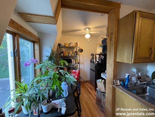Building Photo - 146 Allston St