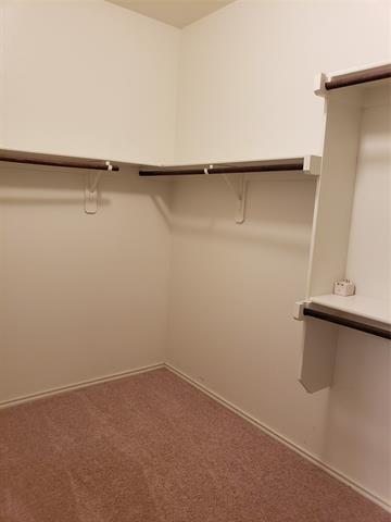 Building Photo - 820 Poncho Ln