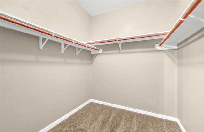 Building Photo - 4618 San Jacinto River Dr