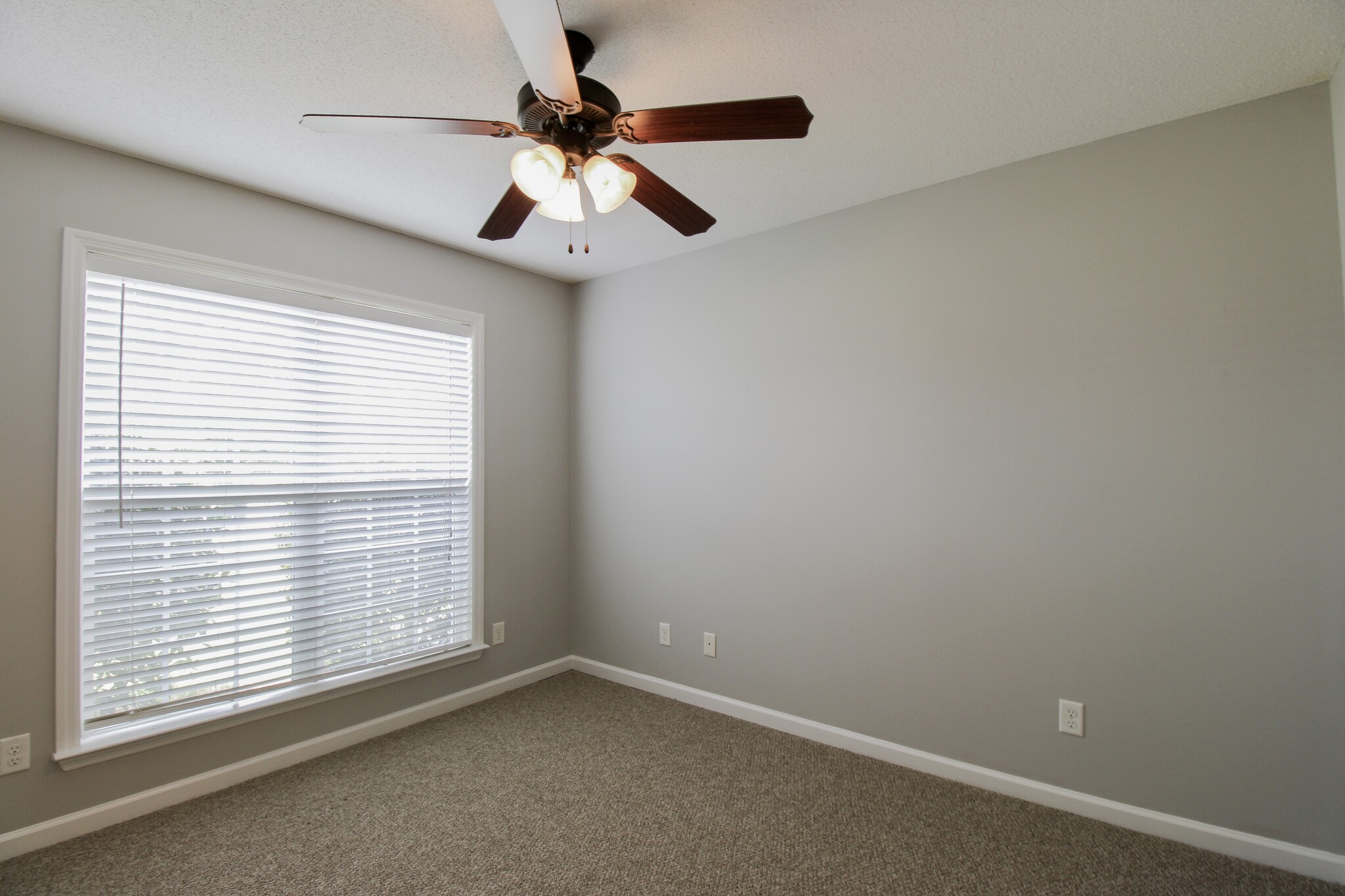 Building Photo - 60 Palmetto Pines Cir