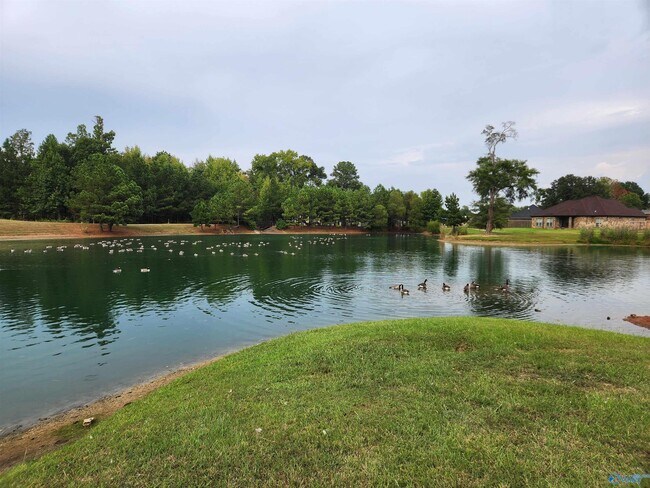 Building Photo - 25751 Caldera Dr