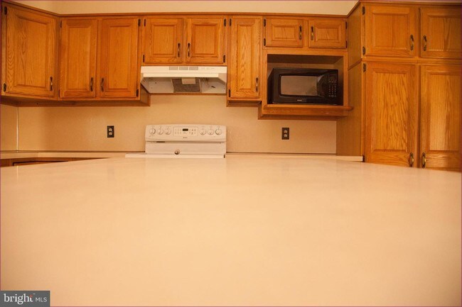 Building Photo - 519 Cobbler Ct