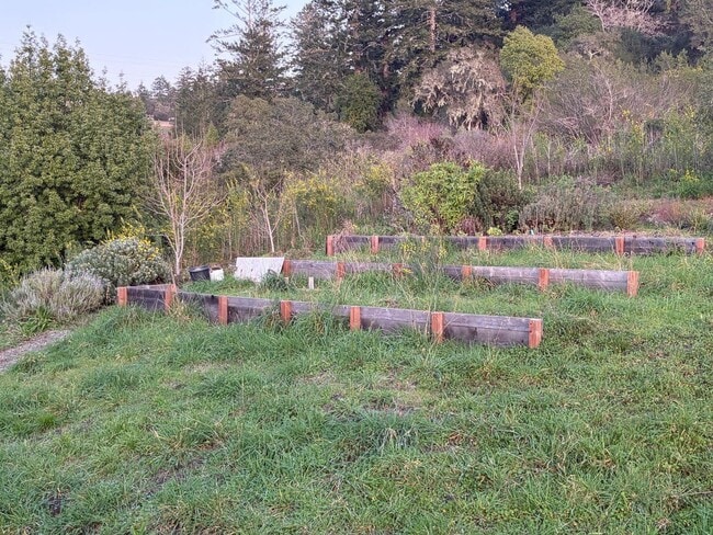 Building Photo - 11100 La Honda Rd