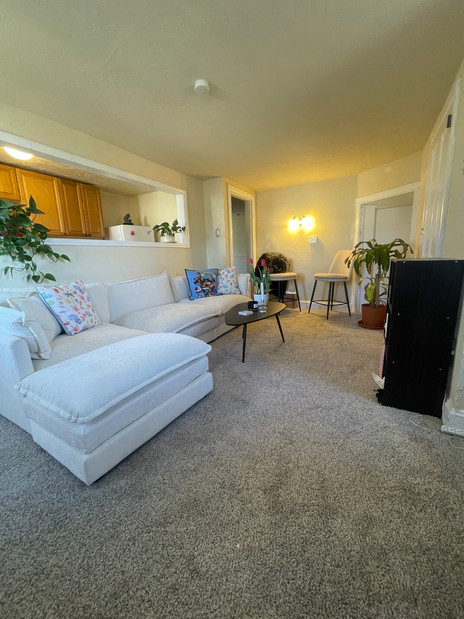 Living Space with furniture - 157 Cricket Ave