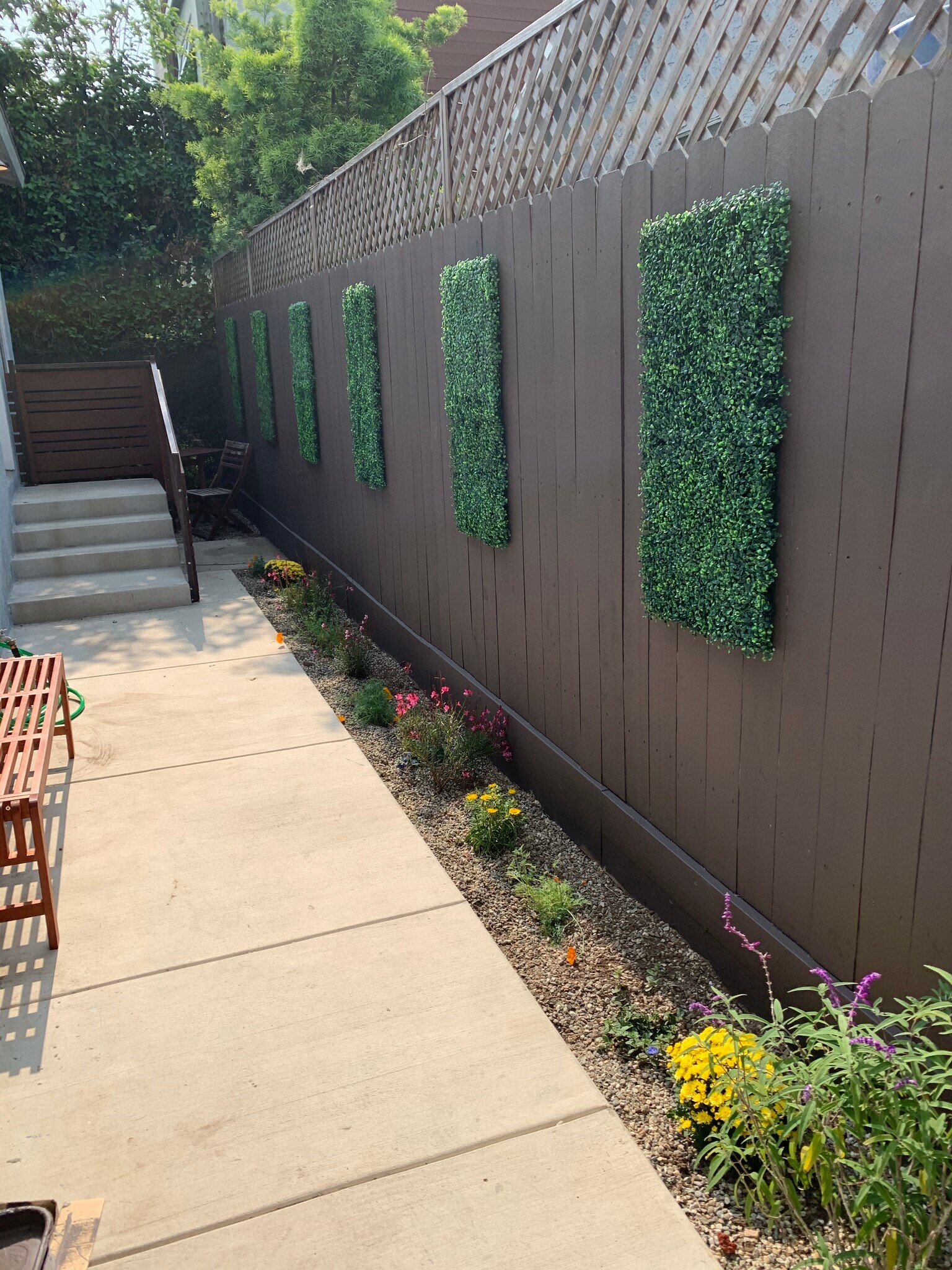 Front Patio/Garden - 526 Brooks Ave