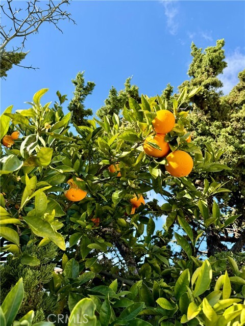 Building Photo - 3632 Myrtle St