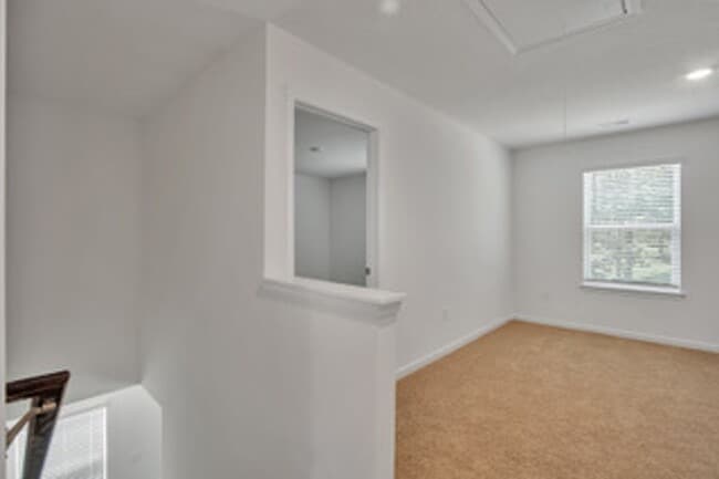 Building Photo - 1025 Curly Top Ln